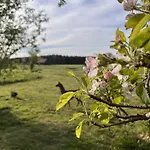 Kleines Paradies Mit Privater Sauna * Erkheim