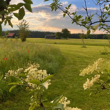 Kleines Paradies Mit Privater Sauna Lejlighed Erkheim