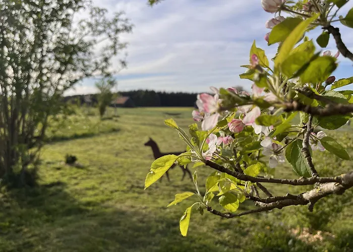 Kleines Paradies Mit Privater Sauna * Erkheim